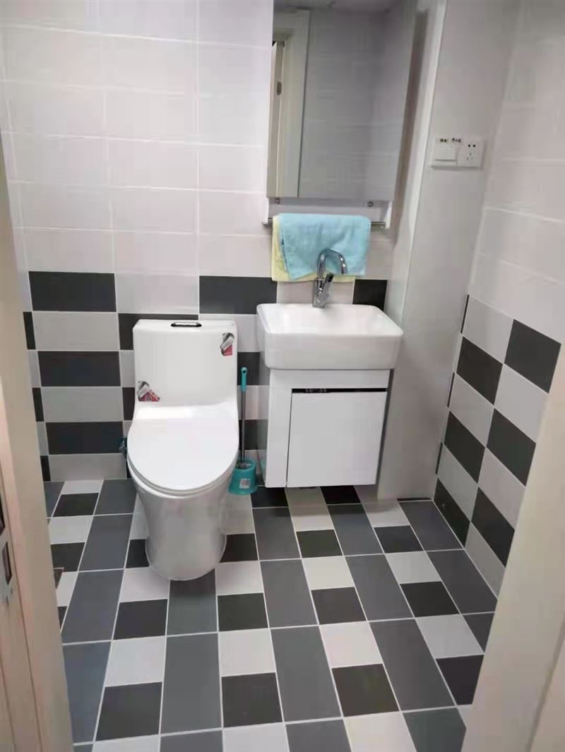 瓦工。測漏水